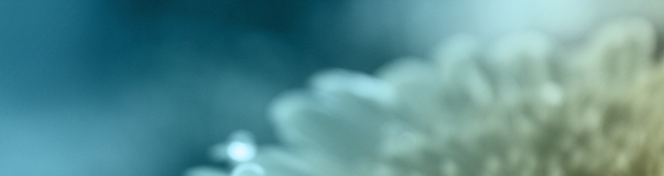 ดาบมังกรหยก 2019