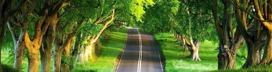 Great Outdoor Product Store