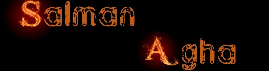 Salmanagha28