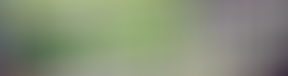 Manifestation Miracle Program