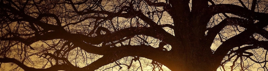 All Dramas Collection