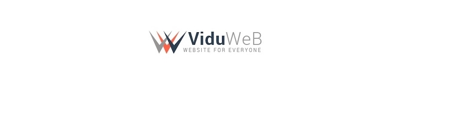 vidu web