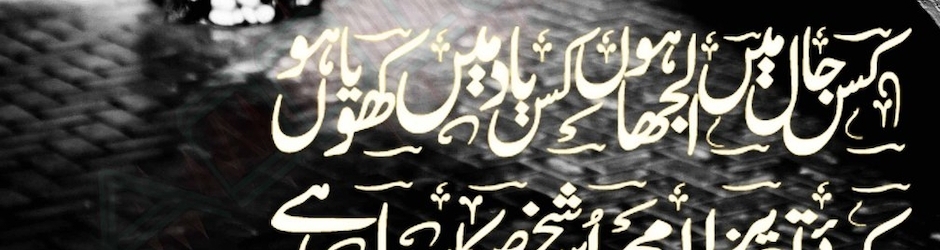 Syed Hamid Raza Shah Gardezi