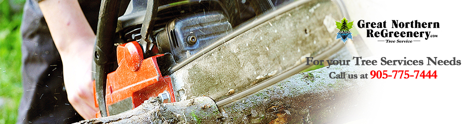 Great Northern Regreenery