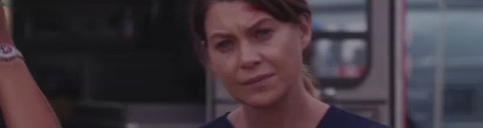 Grey's Anatomy Season11 Review and After Show