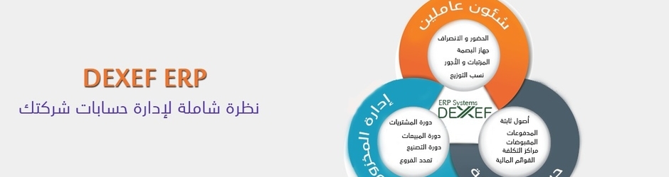 Dexef ERP