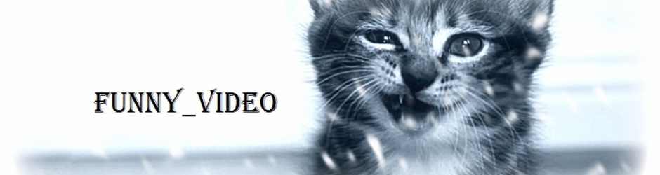 funny_video