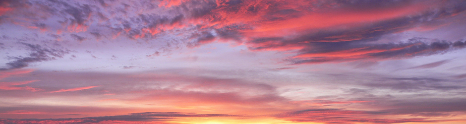 Туристическая компания Arrow Holiday