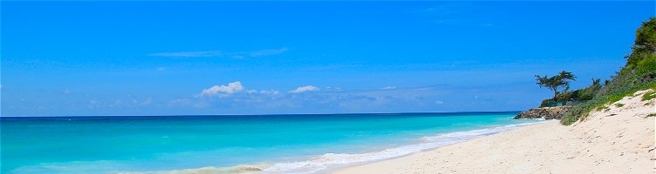 AmazingNatureChannel