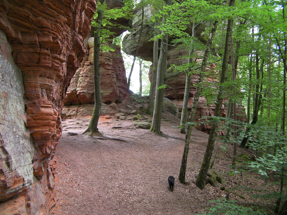 L'écho du Bitcherland