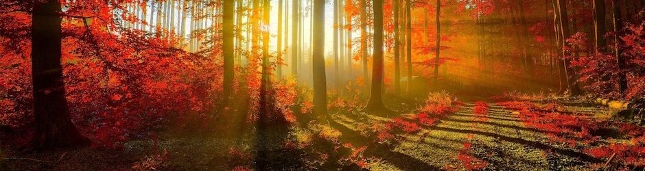 My Crazy Beautiful Life