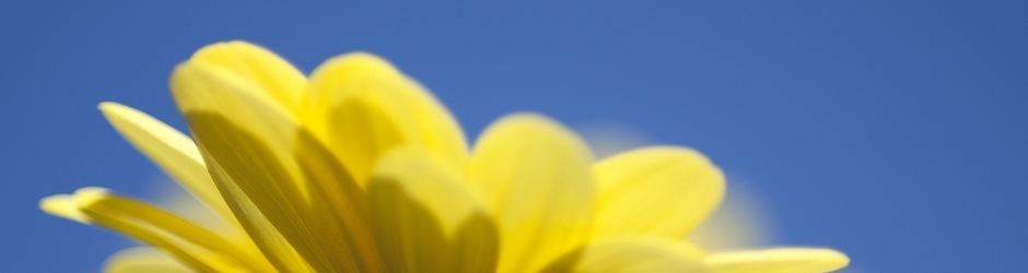 Easy English Learning