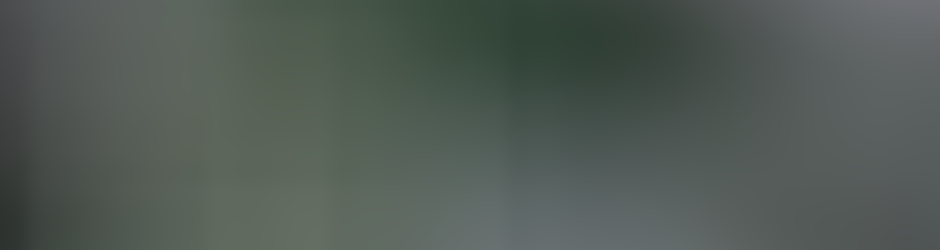 Shinzo94 vidéotesteur