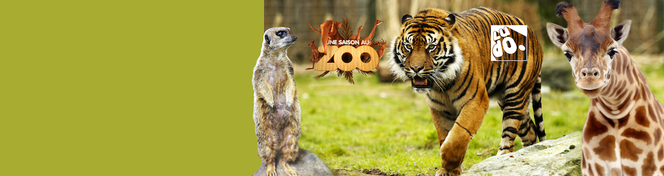 Une saison au zoo