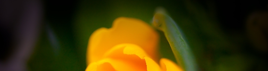 Learn English Speaking