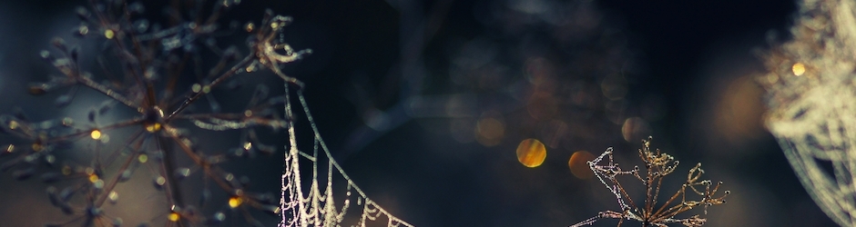 After Effects Tutorial