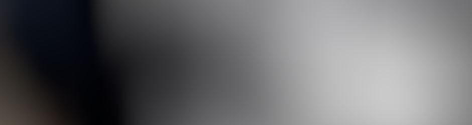 Hicham Kurtlar-Vadisi