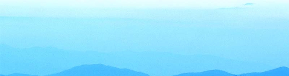 Express Proofreading