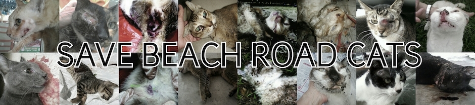 Save Beach Road Cats