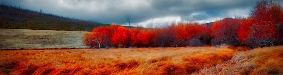 Nhan Nguyen Photography