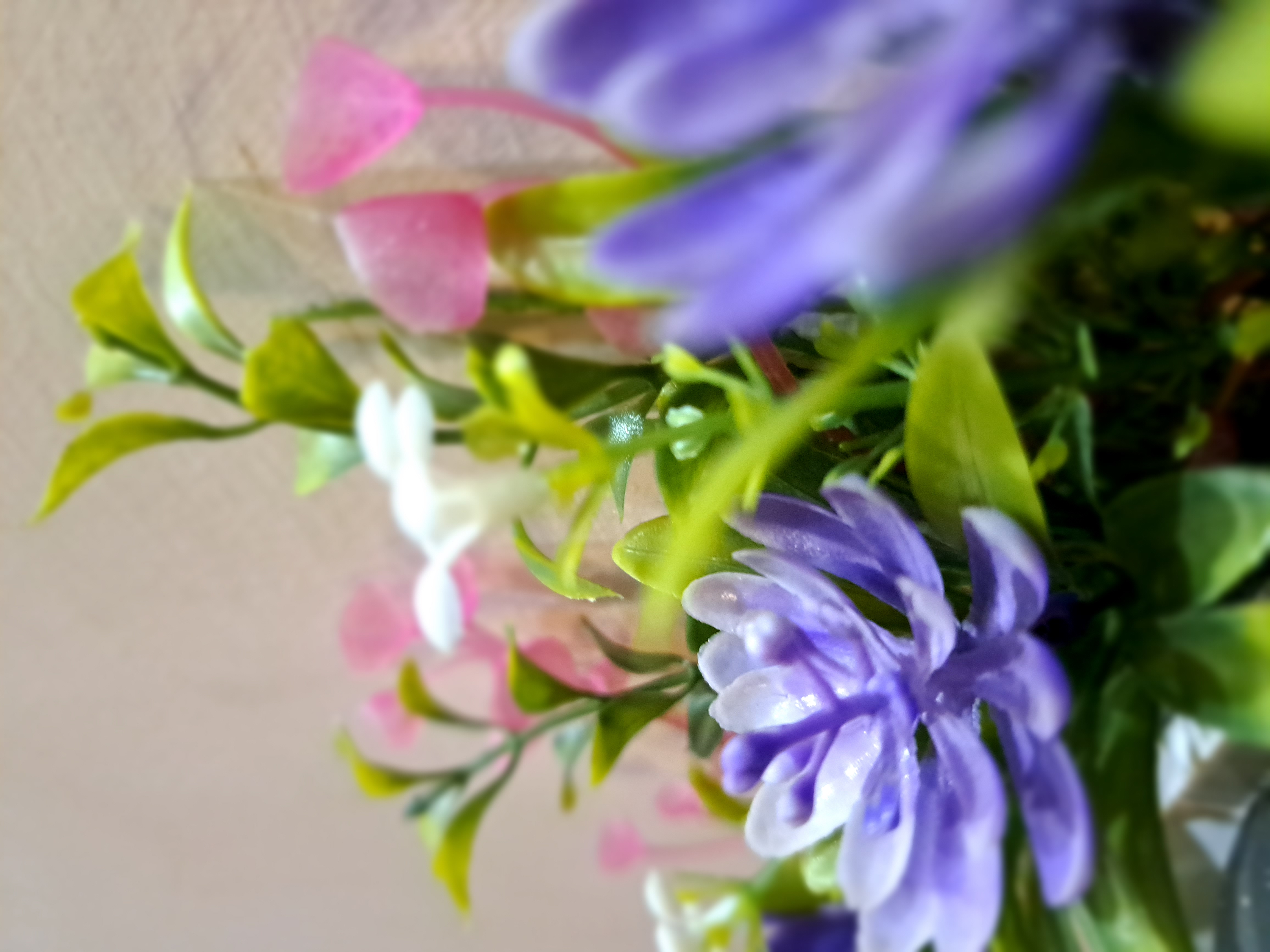 American Cuisine With Hajra.