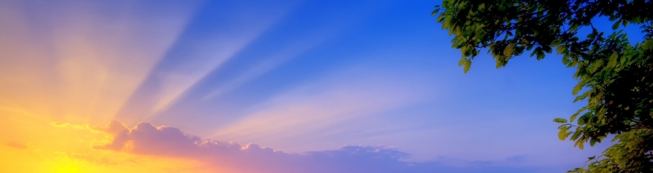 Cartoons for Children