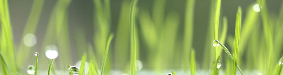 Cartoon characters dancing