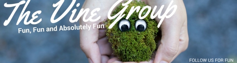 The Vine Group