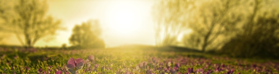 Children Cartoon Movies