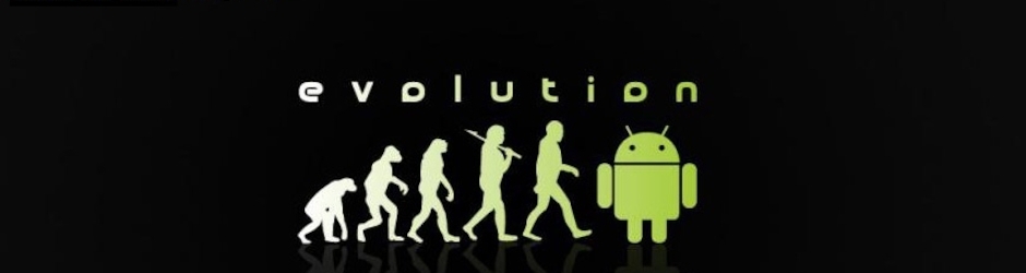 The programmers point