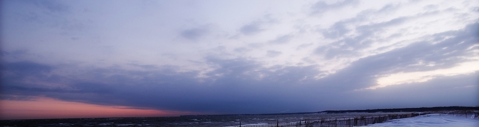 Documentales Animales