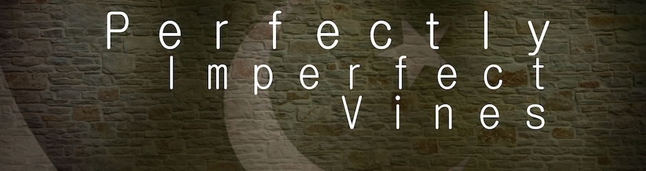 Perfectly Imperfect Vines