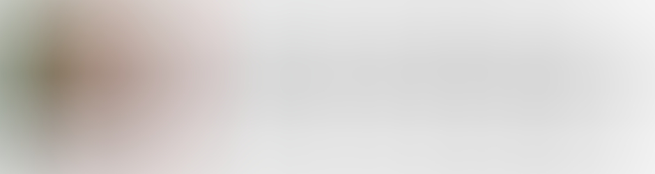 Abdul Zahir Bashir Automotive Trading L.L.C.