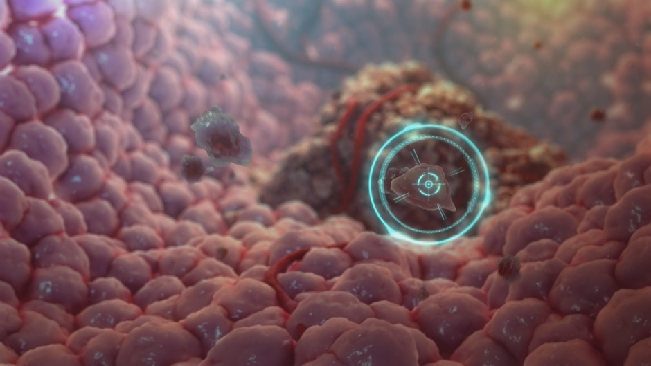 Medical Animation Studios