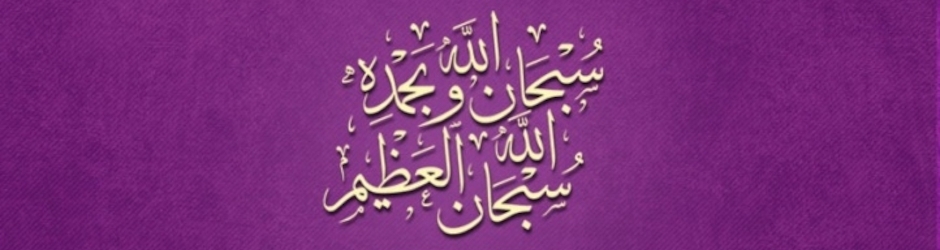 maulana tariq jameel