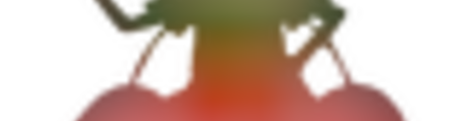 Defensive Driving San Antonio