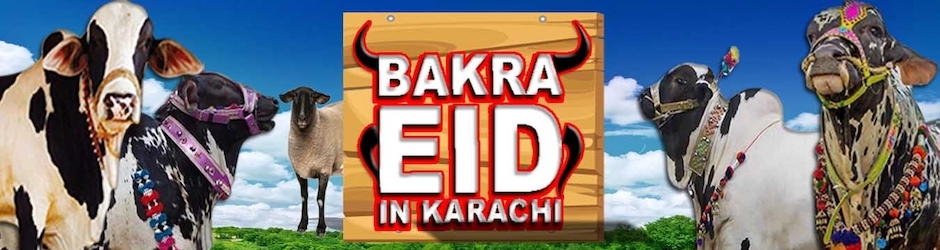 Bakra Eid In Karachi