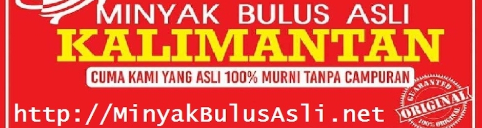 Jual Minyak Bulus