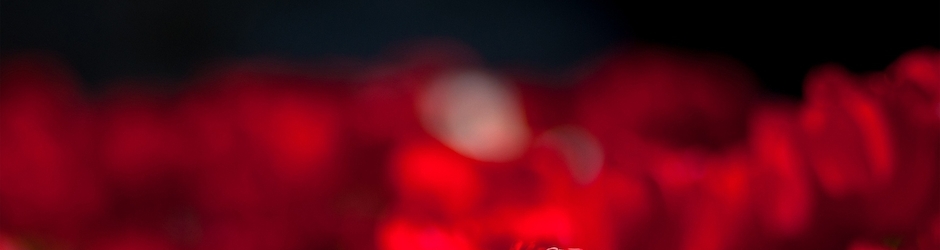 Children Action Songs