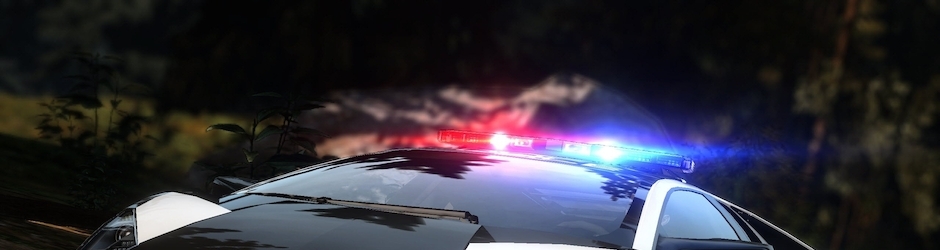 A Pakistani In India