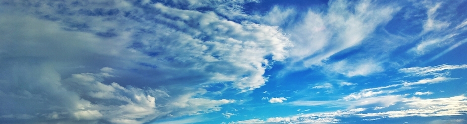 Pakistan Vs Zimbabwe