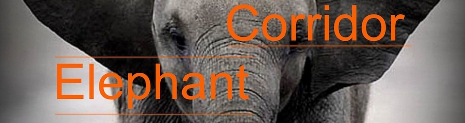 Corridor Elephant