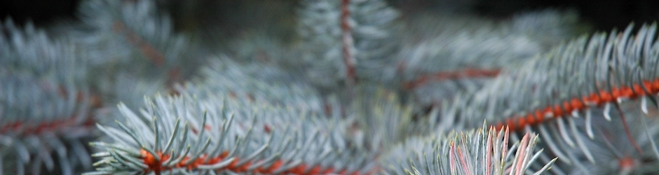 Funny Compilation 2015