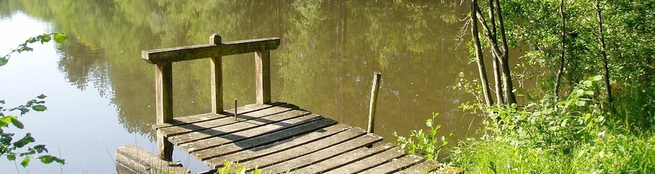 GAL Forêt d'Orléans Loire Sologne