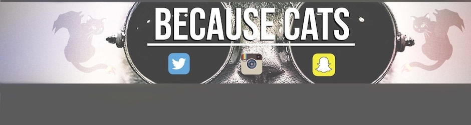 Because Cats