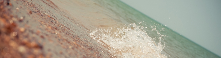 LashandraBarnhill Fun