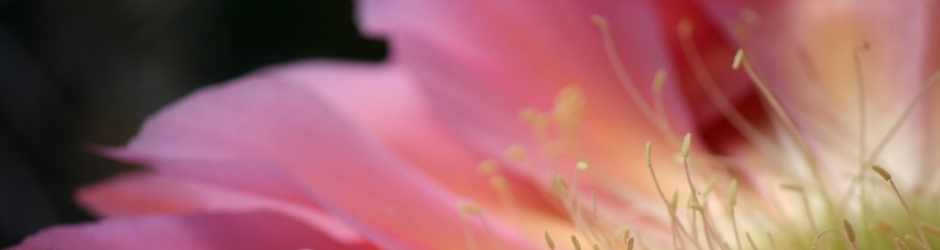 AdenaMcnutt Lifestyle