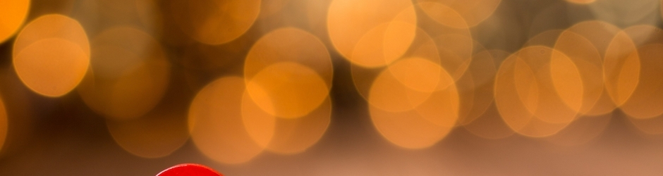 ElanorSquires Animals