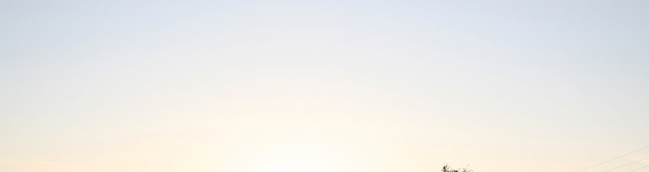 EllenaNunn Videogames