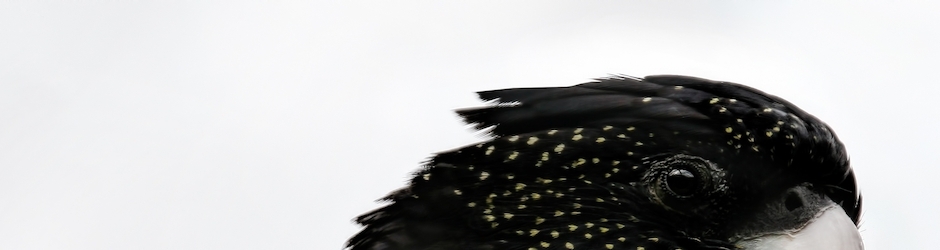 MitziWashburn Webcam